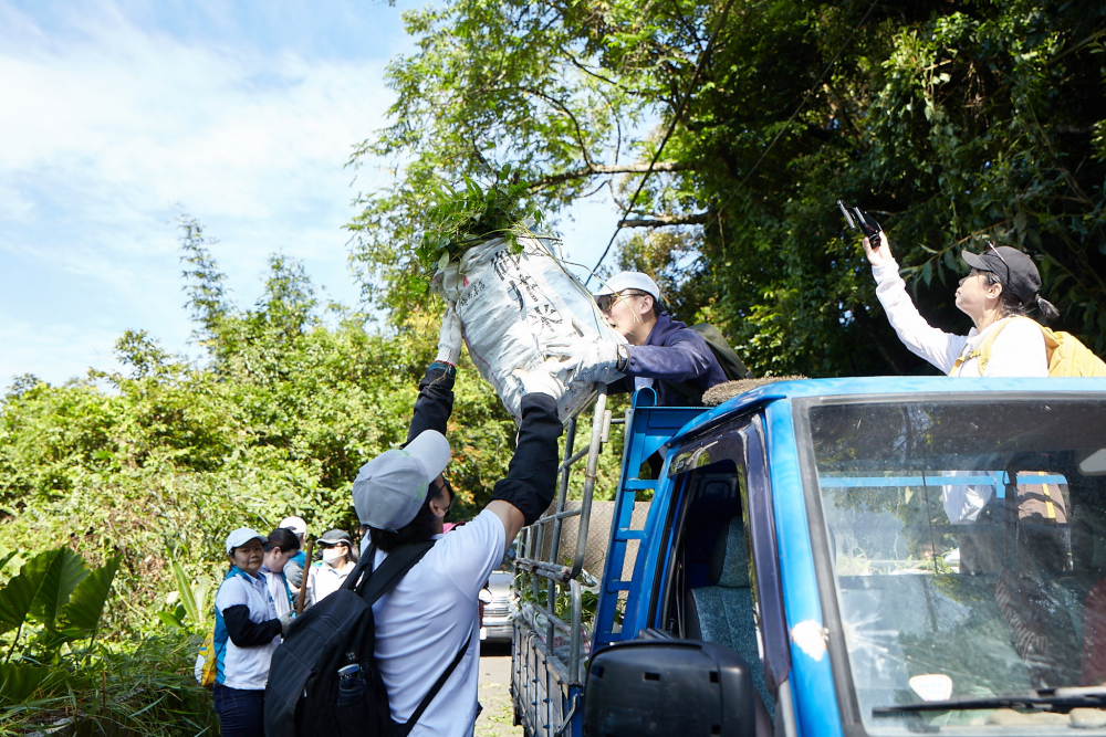 友達串聯志工組成水環境巡守隊，針對霄裡溪沿岸3公里的小花蔓澤蘭，定期進行移除與防治工作